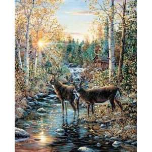  Jeff Tift White Tailed Deer 22x28 Poster Print: Home 