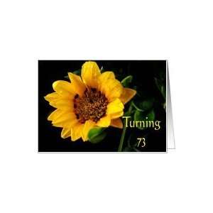  73rd Birthday, yellow Gazania Card Toys & Games