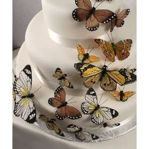 Neutral Colors Butterfly Cake Decorations   Set of 25:  