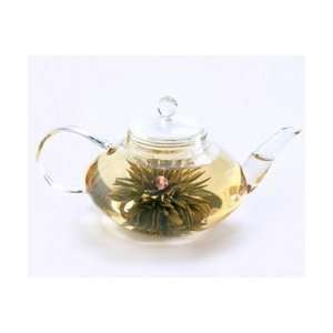 Numi Tea FLOWERING TEA Numi Glass Tea Pot   Signature