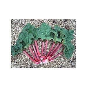  Rhubarb Herbal Capsules