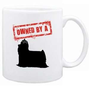    New  Owned By Yorkshire Terriers  Mug Dog: Home & Kitchen