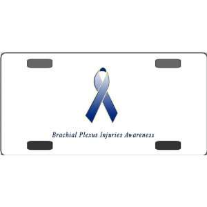  Brachial Plexus Injuries Awareness Ribbon Vanity License 