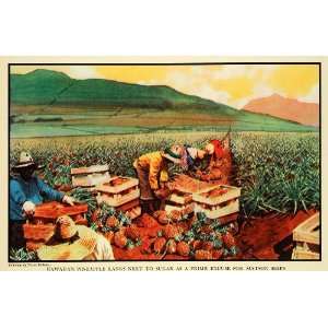  1937 Print Matson Hawaii Pineapple Plantation Fruit Art 