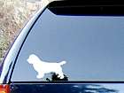 Sussex Spaniel Vinyl Decal Sticker / Color   HIGH QUALITY