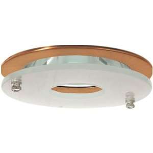   Low Voltage Adjustable Clear Reflector with Suspend: Home Improvement