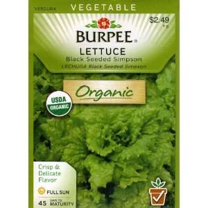  Burpee 60295 Organic Lettuce, Leaf Black Seeded Simpson 