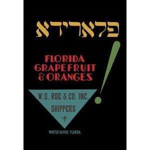  Vintage Art Florida Grapefruit and Oranges   00527 0: Home 