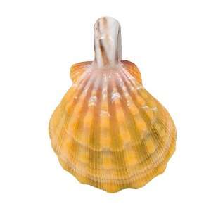  Sunrise Shell Natural Color Pendant with Puka Top Made in 