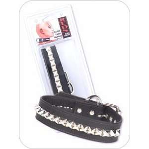  Buckle Collar, Studded, Box: Health & Personal Care