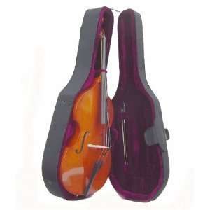 Size String Bass with Hard Case, Bag, Bow, 2 Sets of Strings 