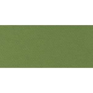  Canson Mi Teintes Tinted Paper green 19 in. x 25 in.