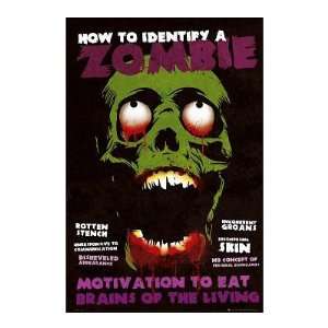  How To Identify A Zombie   Poster (Size 24 x 36)