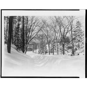 Western Avenue,winter,St. Johnsbury,Caledonia County,Vermont,VT,Maple 