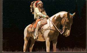 Indian Chief on Paint Horse Native American Postcard  