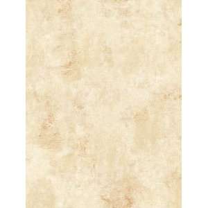  Wallpaper Steves Color Collection   All BC1580762: Home 