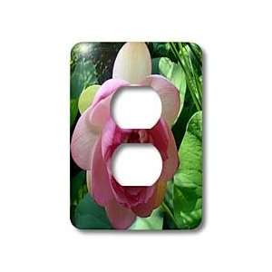 WhiteOak Photography Floral Prints   Lotus Pink Lotus Blossom   Light 