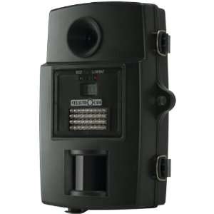   Ir 8.0Mp Digital Video Scouting Camera by Stealthcam: Camera & Photo