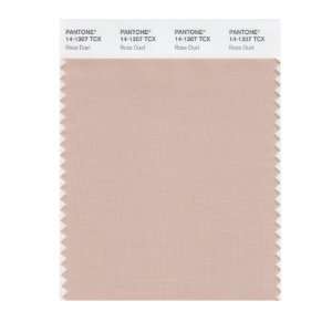  PANTONE SMART 14 1307X Color Swatch Card, Rose Dust: Home 