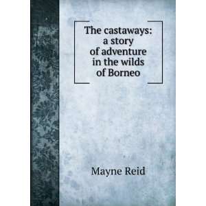  The castaways a story of adventure in the wilds of Borneo 