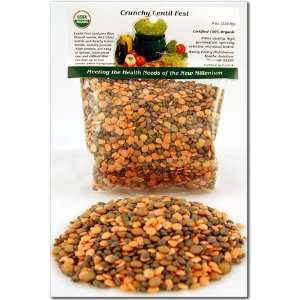  Organic Crunchy Lentil Fest Sprouting Seed Mix   Sprouts 