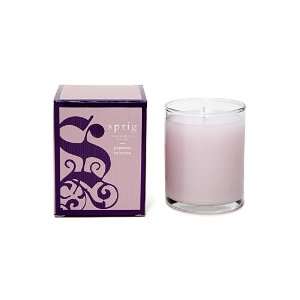  Sprig Jasmine Mimosa Scented Candle 2.5 OZ: Beauty
