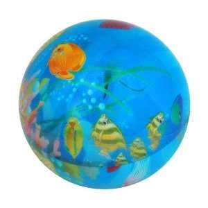  Glide Ball   Sea Life   Light Up: Toys & Games