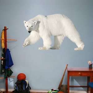  Animal Fathead Wall Graphic Polar Bear: Sports & Outdoors