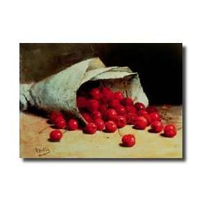  A Spilled Bag Of Cherries Giclee Print