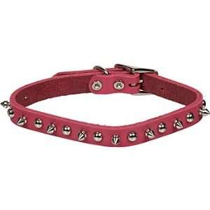  Petco Pink Leather Spiked Dog Collar: Pet Supplies