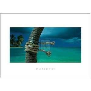  Chris Simpson   Island Breeze Size 27x20 Poster Print 