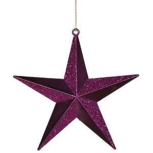   with Alternating Glitter Christmas Star Ornament 8 Home & Kitchen
