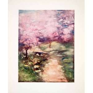  1905 Color Print Japanese Glen Blossom Tree Floral 