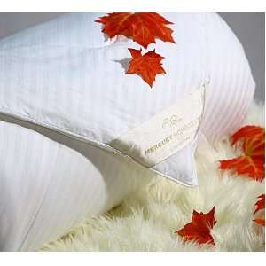  Luxury Satin Silk Comforter Full size (White)