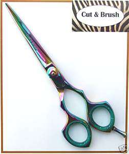 Hairdressing Salon Hair Cutting Scissors Titanium 6.5  