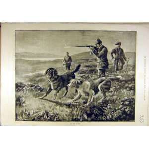  1889 Moors Hounds Gun Dogs Shooting Sport Print: Home 