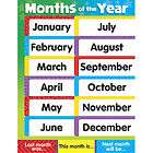 MONTHS YEAR Educational Poster Chart TCR NEW  