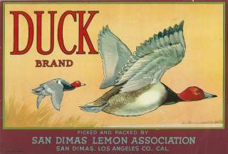Duck Brand Rare Vintage Lemon Crate Label Hunter 1930s  