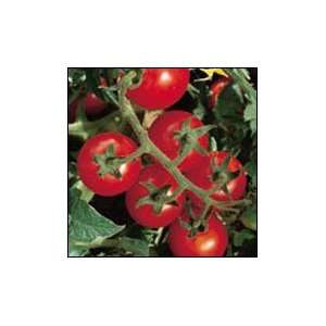  Chadwick Cherry Tomato   1/4 lb. Patio, Lawn & Garden
