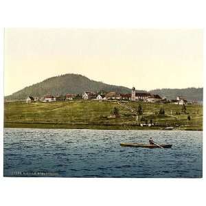  Photochrom Reprint of Schluchsee, general view of village 
