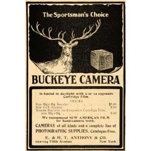  Ad Antique Buckeye Camera E. & H. T. Anthony Deer   Original Print Ad