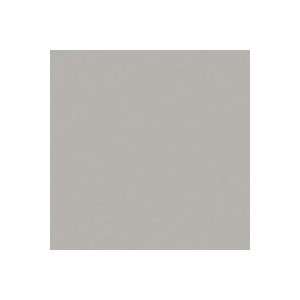  Rosco Roscolux Light Grey, 20 x 24 Color Effects Lighting Filter 