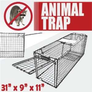  Live Animal Trap 31 X 9 X 11 Cage Skunks Cats Raccoons 