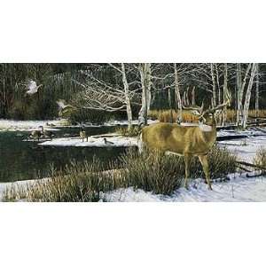  Ron Van Gilder   The Haven   Whitetail Deer Artists Proof 
