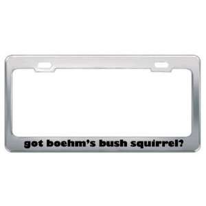 Got BoehmS Bush Squirrel? Animals Pets Metal License Plate Frame 