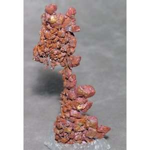  Copper Natural Crystal Specimen Kazakhstan
