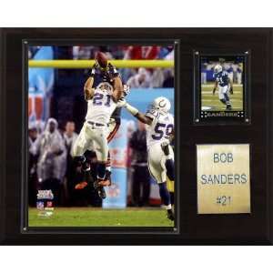  NFL Bob Sanders Indianapolis Colts Player Plaque: Sports 