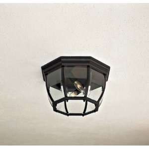 Minka Lavery Outdoor 71175 66, Flush Mounts Outdoor Ceiling Lighting 