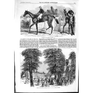  1854 Mincemeat Horse Oaks Crystal Palace Cheltenham