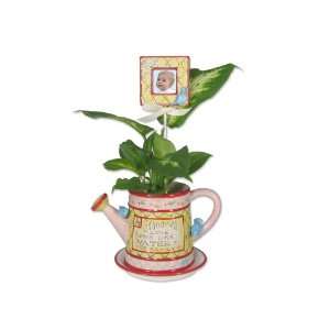  Child to Cherish Flower Pot, Tea Pot Baby